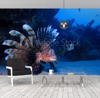 Picture of Lion fish